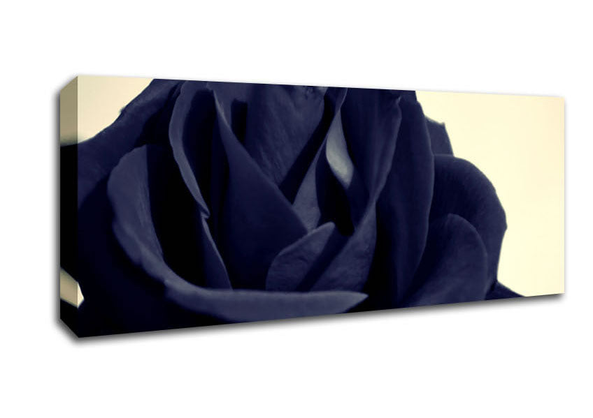 Picture of Black Blue Rose Panoramic Canvas Wall Art