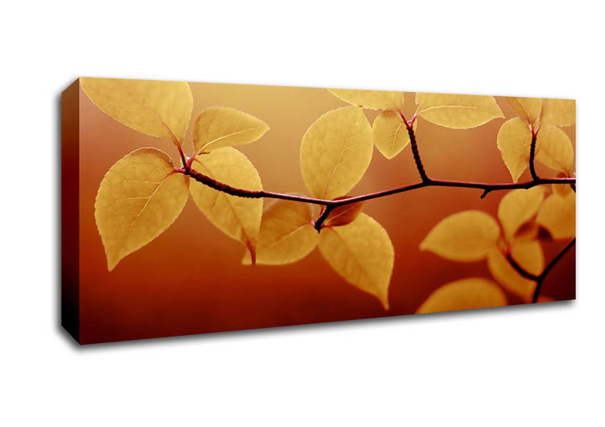 Picture of Branch Brown Panoramic Canvas Wall Art