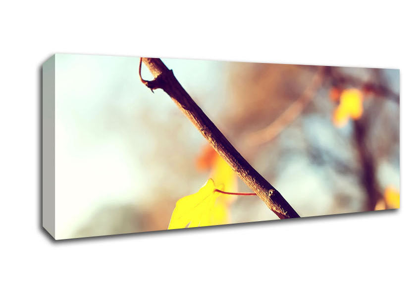 Picture of Autumn 2 Panoramic Canvas Wall Art