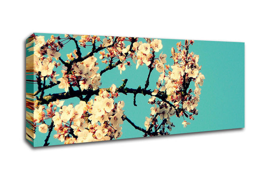 Picture of Blossom Tree Against A Blue Sky Panoramic Canvas Wall Art