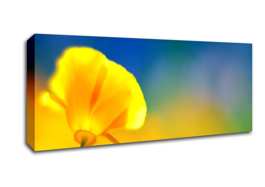 Picture of California Poppy Yellow Panoramic Canvas Wall Art