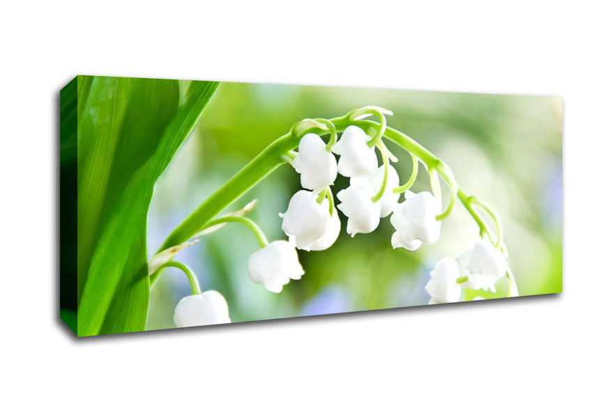 Picture of Lily Of The Valley Panoramic Canvas Wall Art