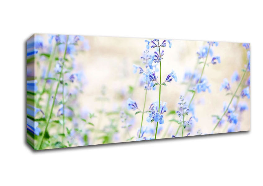 Picture of Blue Small Flowers Panoramic Canvas Wall Art