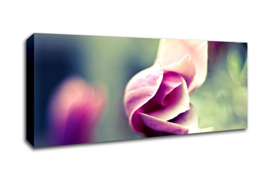 Picture of Bloom Panoramic Canvas Wall Art