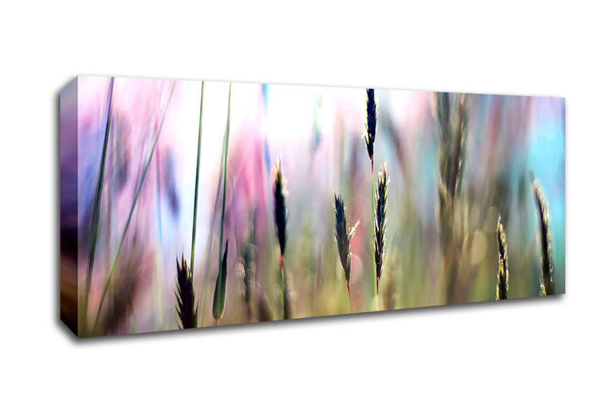 Picture of Soft Field Grass Panoramic Canvas Wall Art