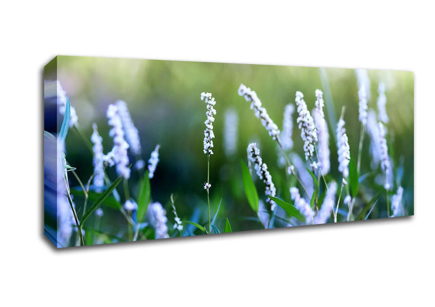 Picture of Blue Field Flowers Panoramic Canvas Wall Art