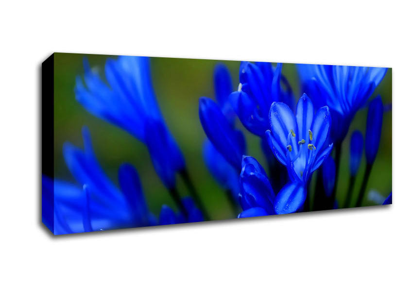 Picture of Blue Soft Look Panoramic Canvas Wall Art