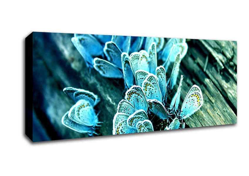 Picture of Blue Butterflies Panoramic Canvas Wall Art