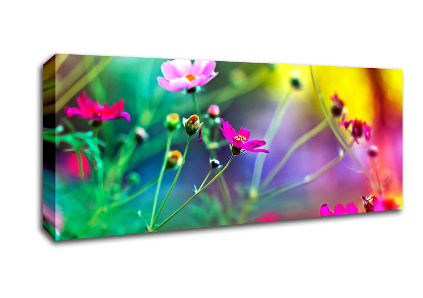 Picture of Amazing Wild Flowers Panoramic Canvas Wall Art