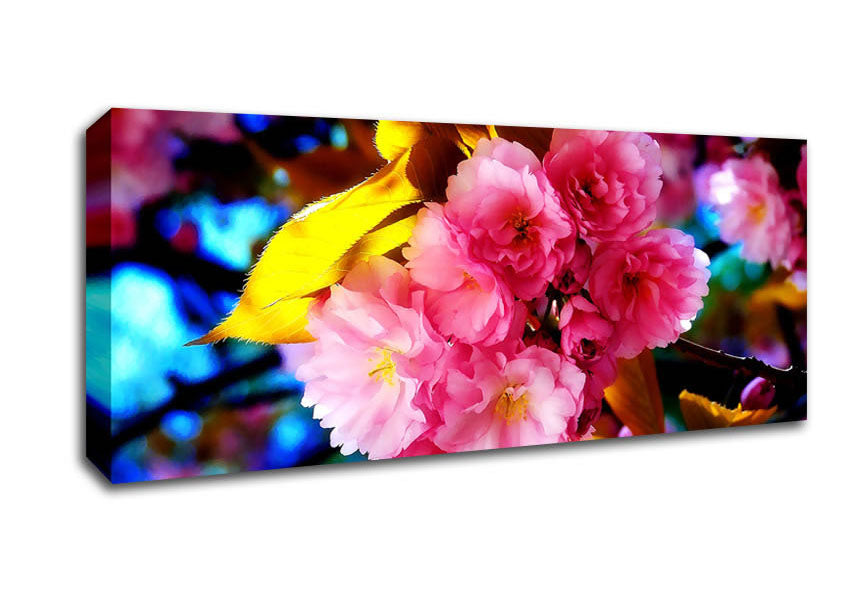 Picture of Beautiful Cherry Blossom Bunch Panoramic Canvas Wall Art