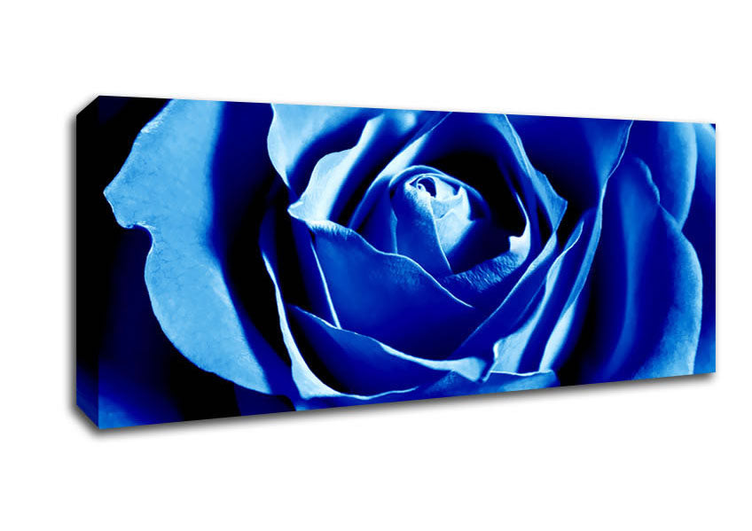 Picture of Blue Rose Petals Panoramic Canvas Wall Art