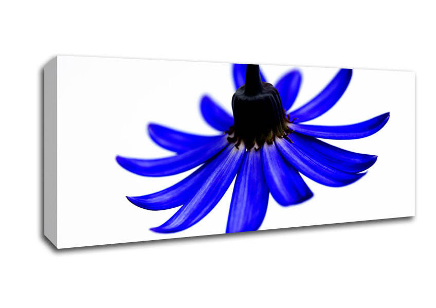 Picture of Blue Petals Panoramic Canvas Wall Art