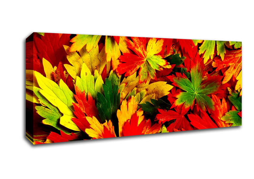 Picture of Autumn Leaves Of Colour Panoramic Canvas Wall Art