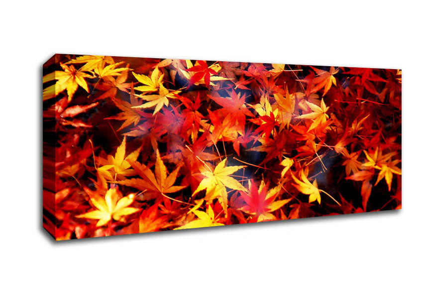 Picture of Autumn Spray Panoramic Canvas Wall Art