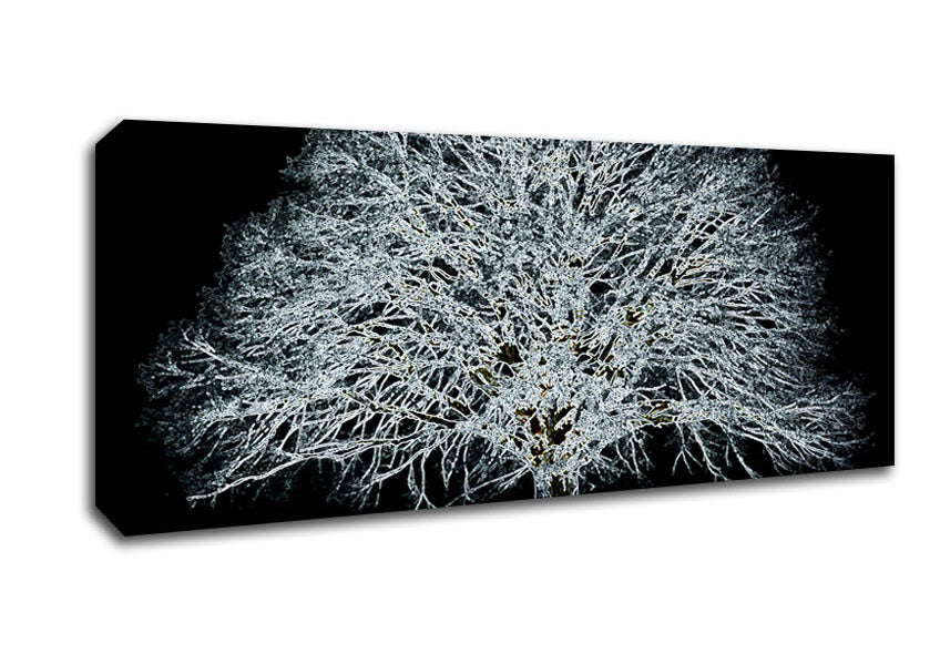 Picture of Abstarct Neon Floral 34 Panoramic Canvas Wall Art