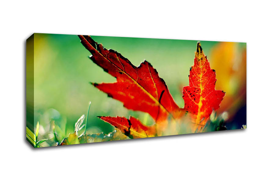 Picture of Autumn Red Leave On The Ground Panoramic Canvas Wall Art