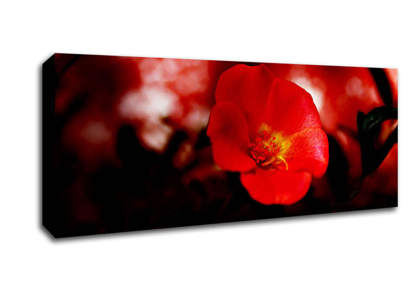 Picture of Cherry Red Panoramic Canvas Wall Art