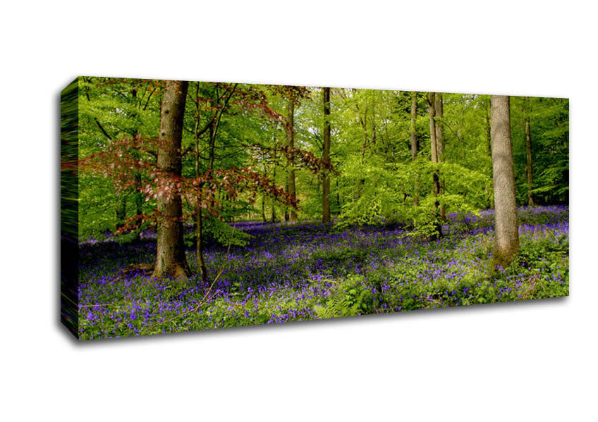 Picture of Purple Flowers In The Forest Panoramic Canvas Wall Art