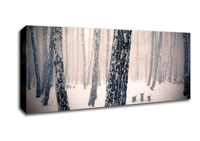 Picture of Forest Snowing Panoramic Canvas Wall Art