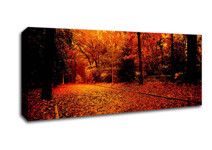 Picture of Fall In The Orange Forest Panoramic Canvas Wall Art