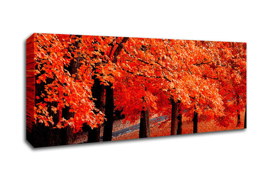 Picture of Beautiful Autumn Orange Leaves Panoramic Canvas Wall Art