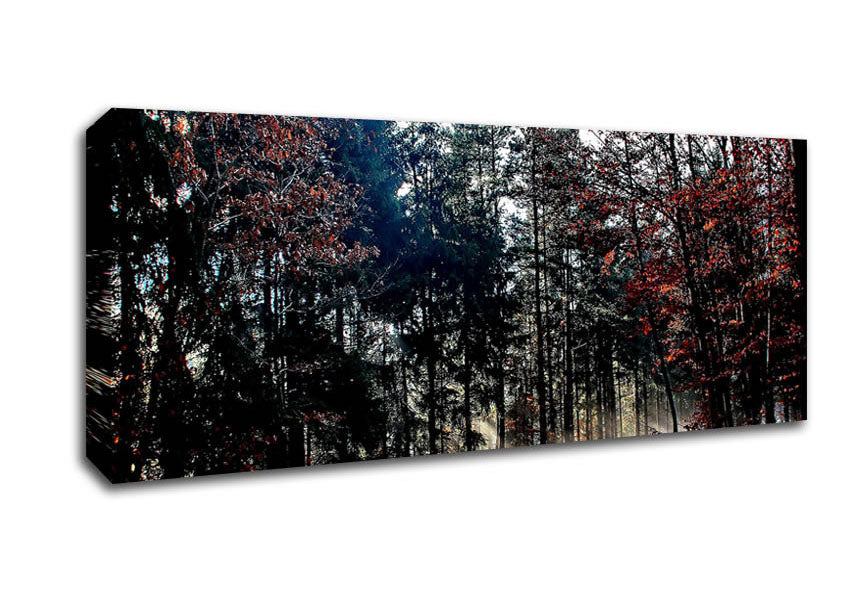 Picture of Forest Road In Winter Panoramic Canvas Wall Art