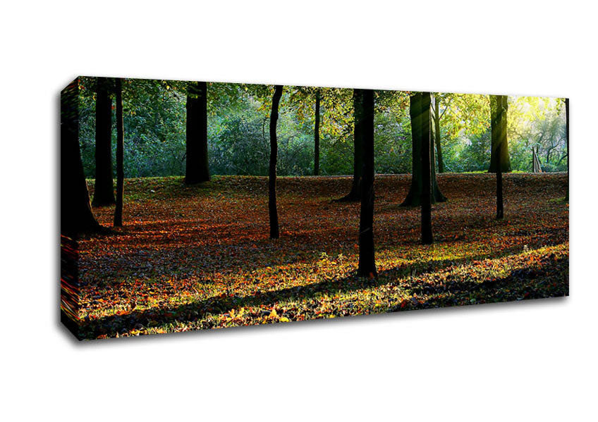 Picture of Autumn Light Panoramic Canvas Wall Art