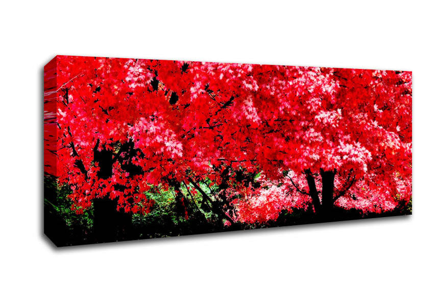 Picture of Pink Autumn Leaves Panoramic Canvas Wall Art