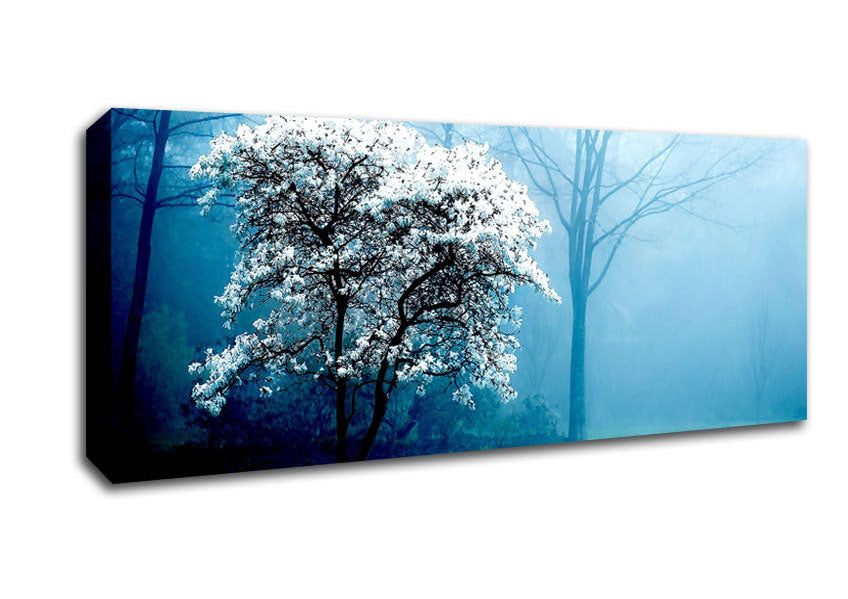 Picture of White Magnolia Tree Panoramic Canvas Wall Art