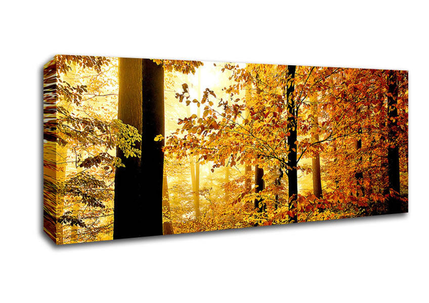 Picture of Beautiful Autumn Foliage Panoramic Canvas Wall Art