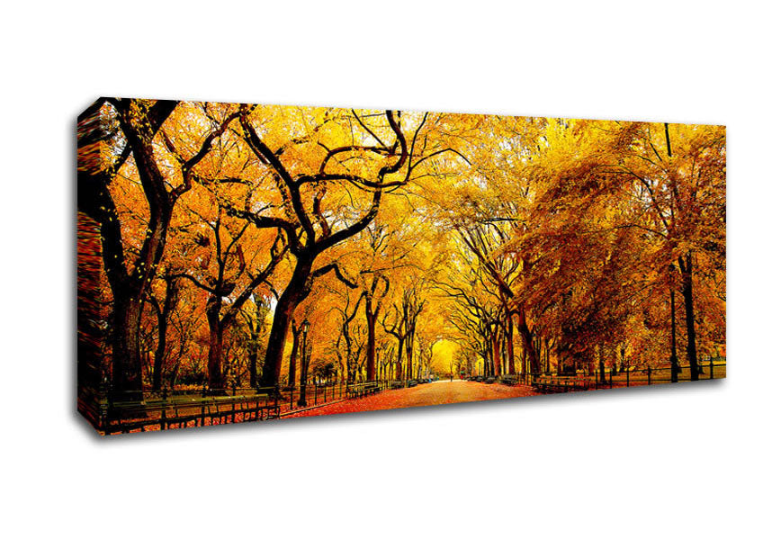 Picture of Wide Alley Panoramic Canvas Wall Art