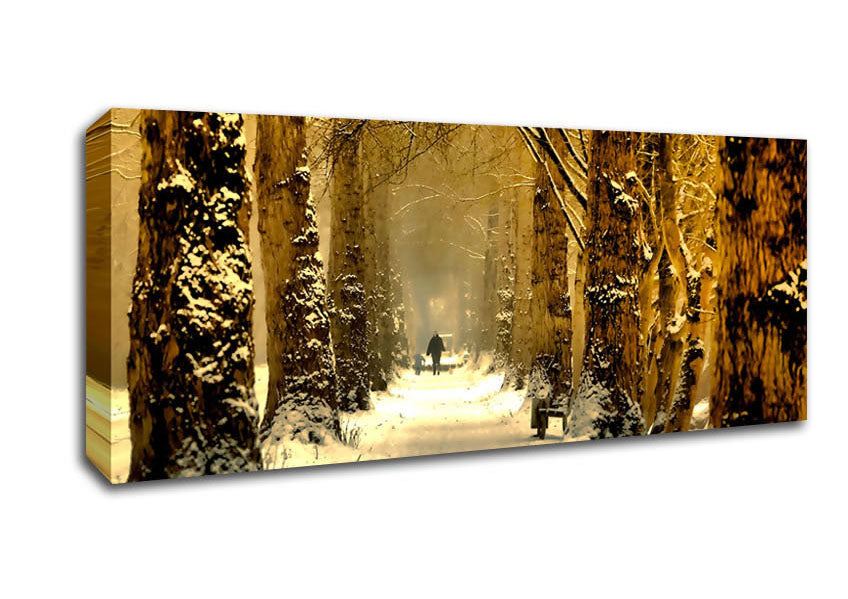 Picture of Beautiful Tree Passage Winter Panoramic Canvas Wall Art