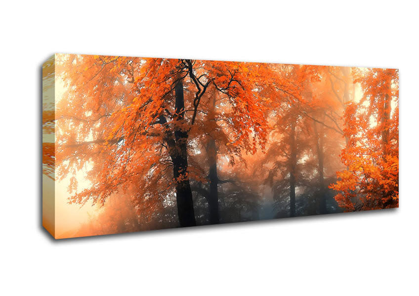 Picture of Autumn Orange Mist Panoramic Canvas Wall Art