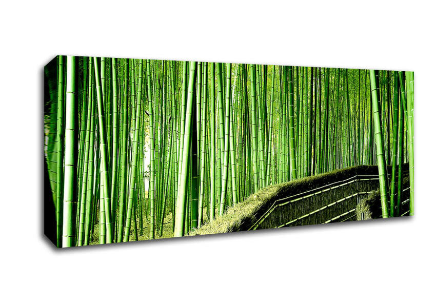 Picture of Bamboo Forest Panoramic Canvas Wall Art