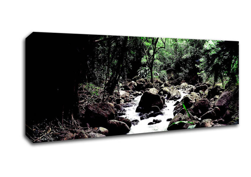 Picture of Rainforest Creek Panoramic Canvas Wall Art