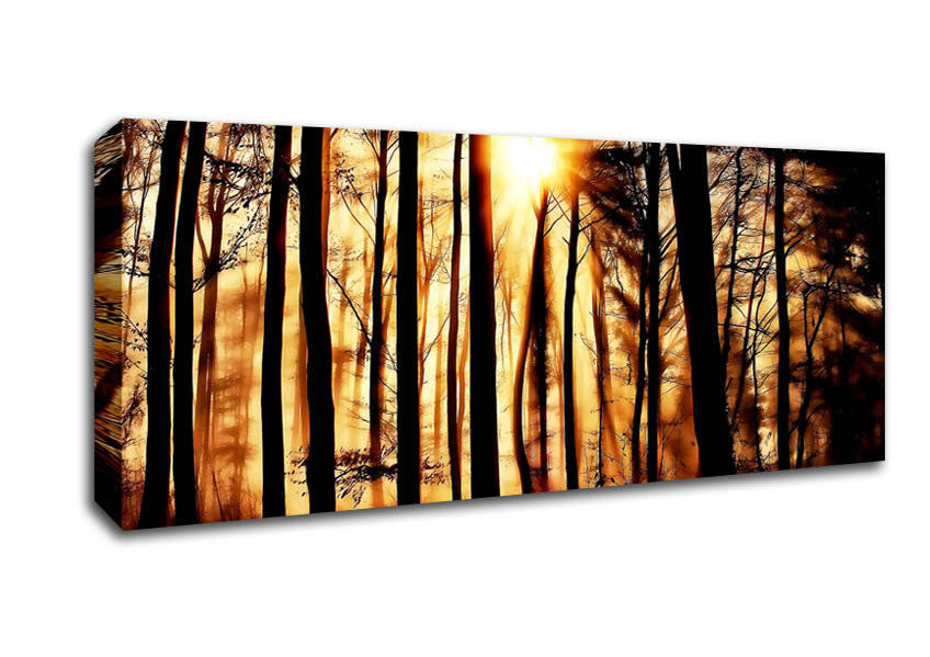 Picture of Steaming Light Rays Panoramic Canvas Wall Art