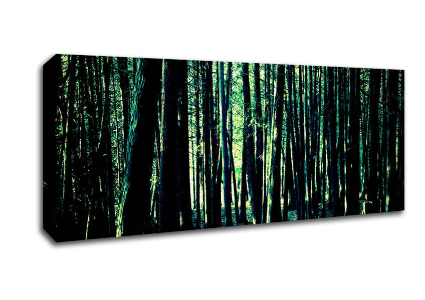 Picture of Emerald Green Woodland Panoramic Canvas Wall Art