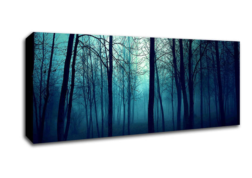 Picture of Dark Forest Panoramic Canvas Wall Art