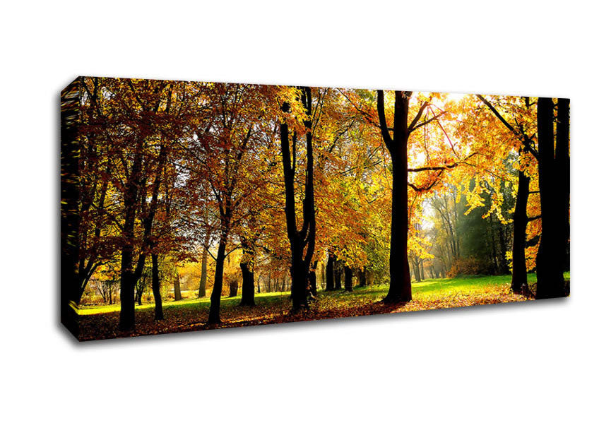 Picture of Autumn Season Panoramic Canvas Wall Art