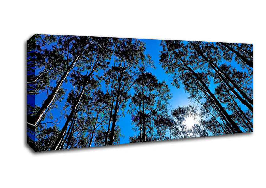 Picture of Blue Tree Top Skys Panoramic Canvas Wall Art