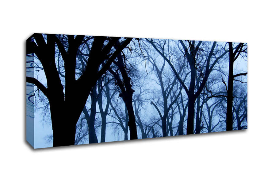 Picture of Blue Night Forest Panoramic Canvas Wall Art