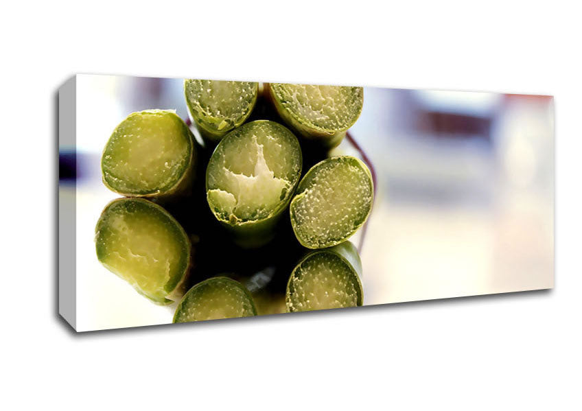 Picture of Asparagus Ends Panoramic Canvas Wall Art