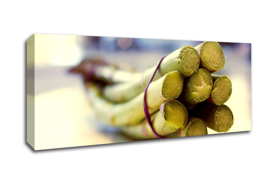 Picture of Asparagus 2 Panoramic Canvas Wall Art