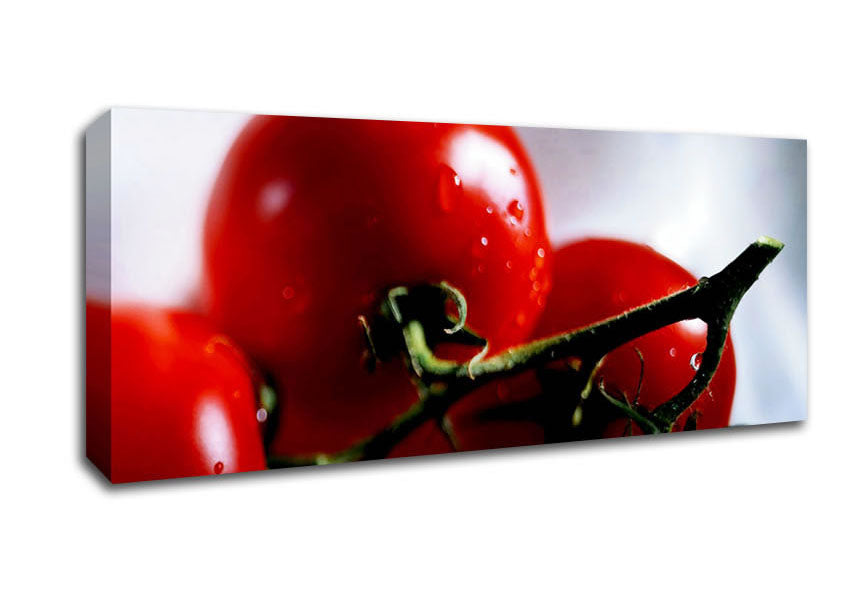 Picture of Cherry Tomato Vine Panoramic Canvas Wall Art