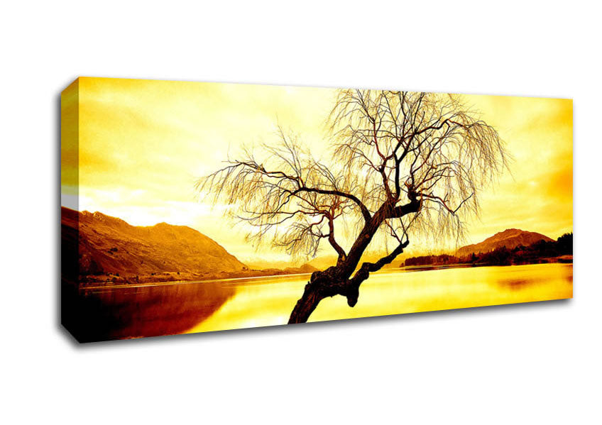 Picture of Willow Tree In Winter Panoramic Canvas Wall Art