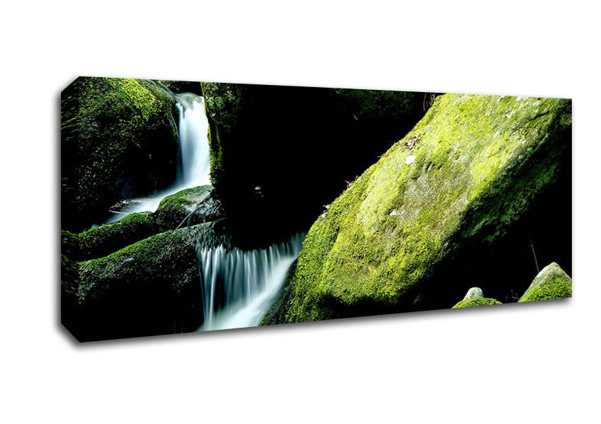 Picture of Moss Rocks Panoramic Canvas Wall Art