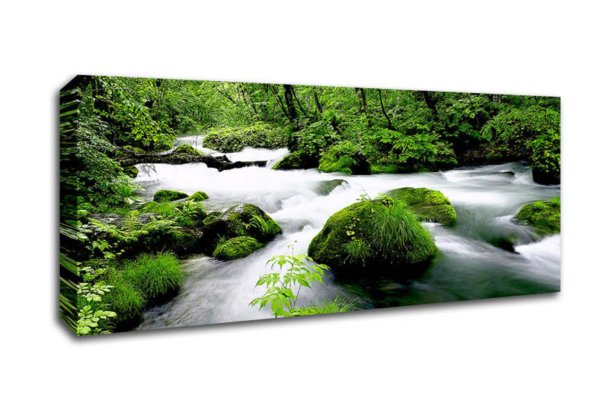 Picture of Green Forest Stream Panoramic Canvas Wall Art