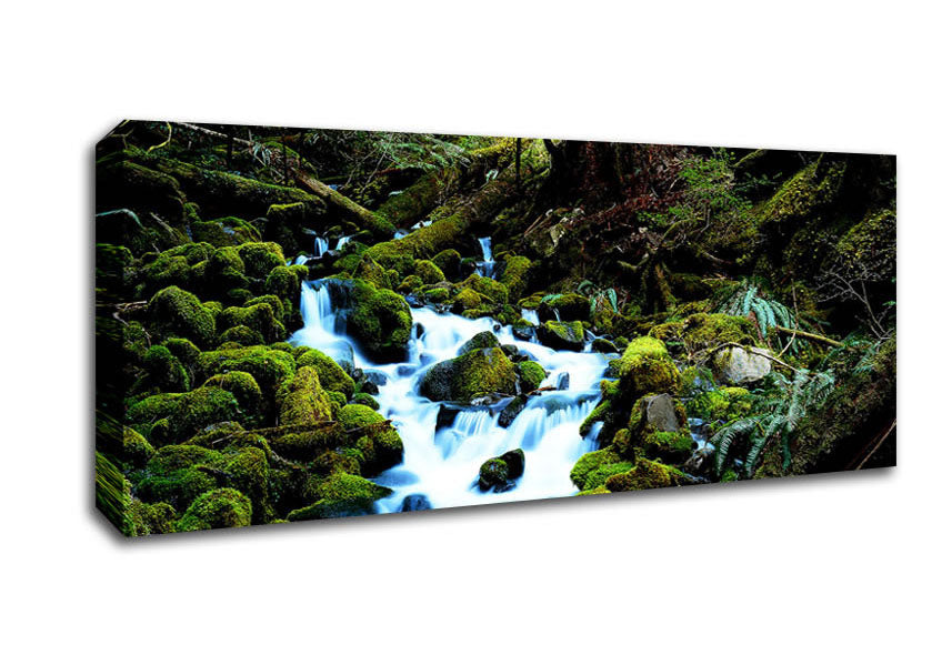 Picture of Forest Stream Movement Panoramic Canvas Wall Art