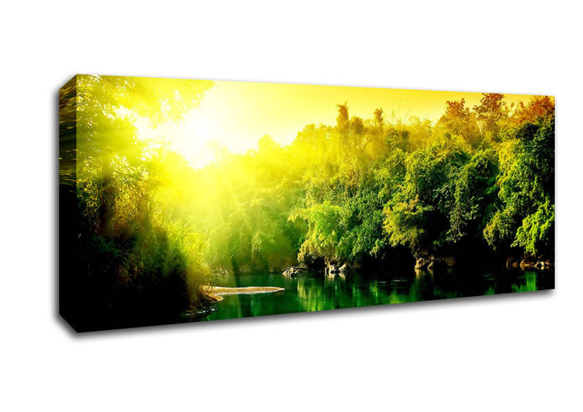 Picture of Lush Green Forest River At Sunrise Panoramic Canvas Wall Art