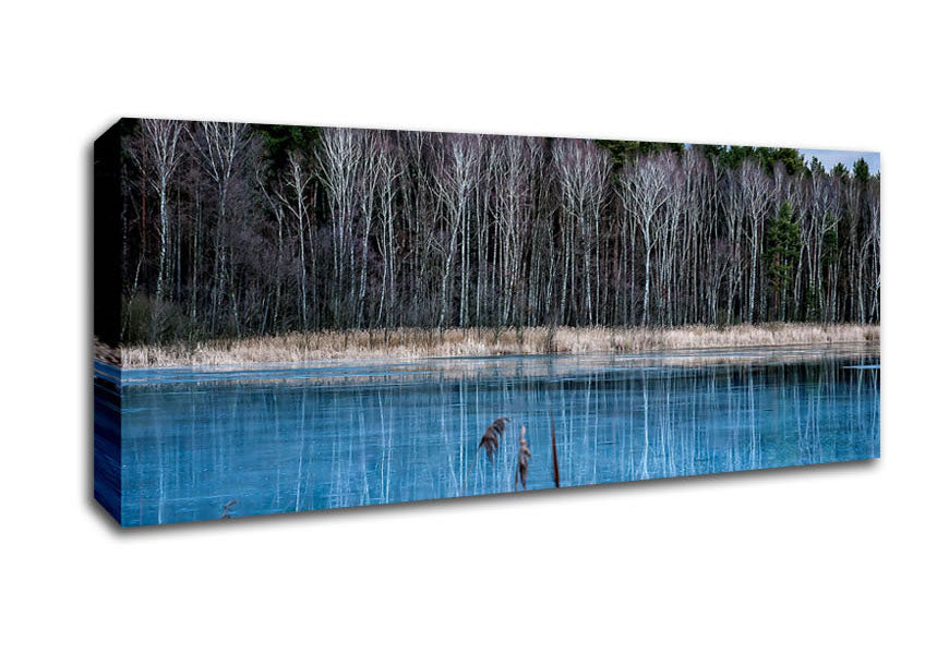 Picture of Ice Lake Panoramic Canvas Wall Art